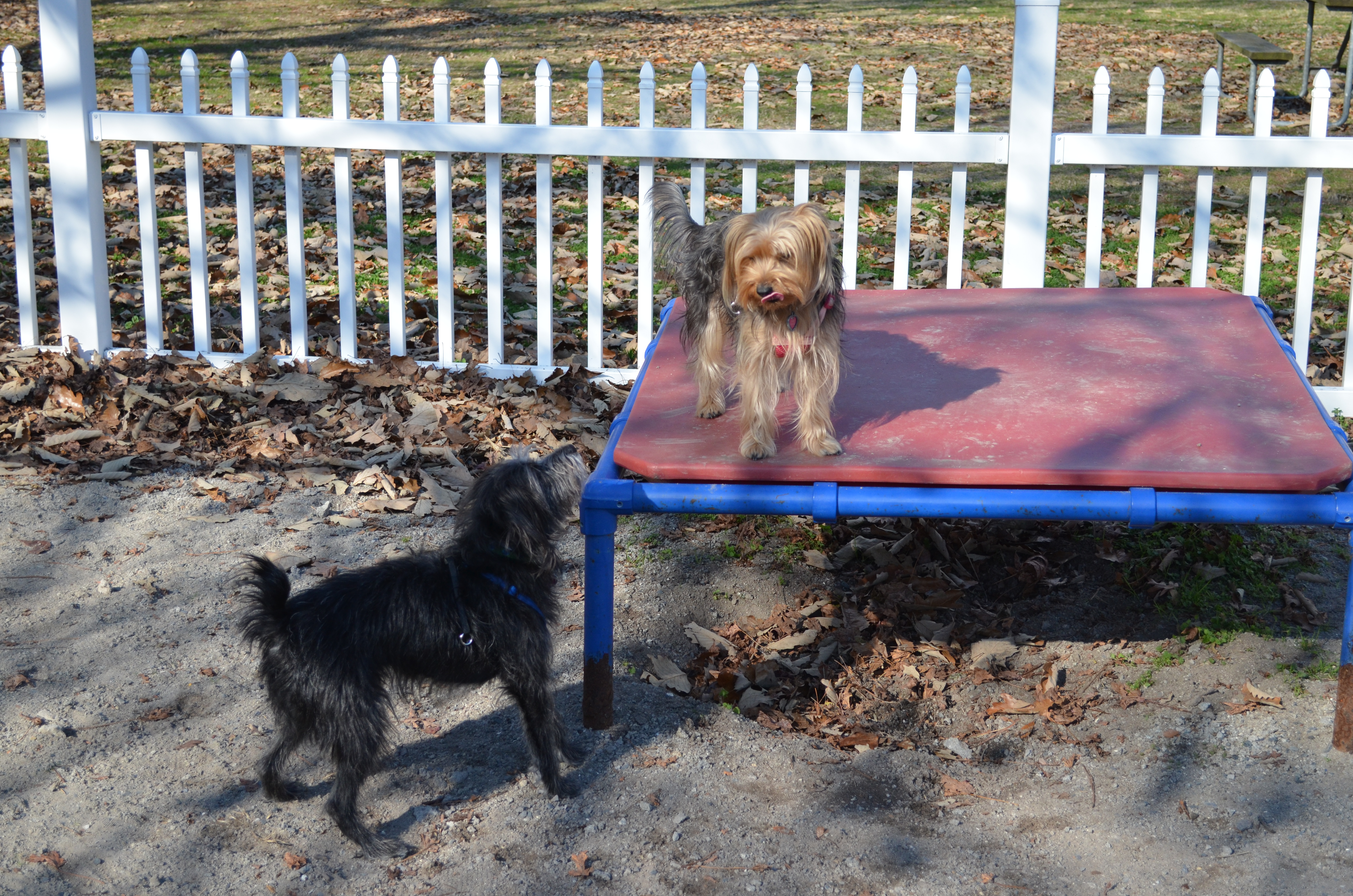 ./2017/21 - Myrtle Beach/ADSC_0789.JPG